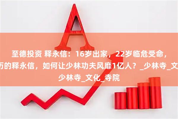 至德投资 释永信：16岁出家，22岁临危受命，初中学历的释永信，如何让少林功夫风靡1亿人？_少林寺_文化_寺院