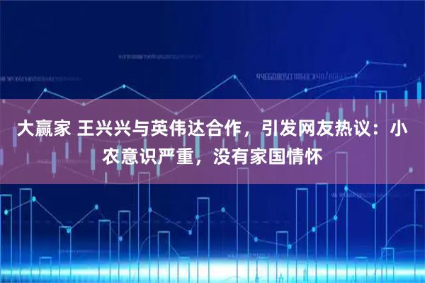 大赢家 王兴兴与英伟达合作，引发网友热议：小农意识严重，没有家国情怀