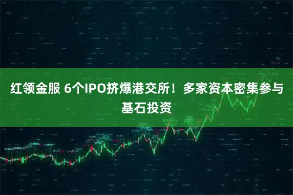 红领金服 6个IPO挤爆港交所！多家资本密集参与基石投资