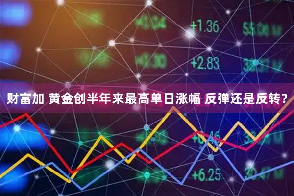 财富加 黄金创半年来最高单日涨幅 反弹还是反转？